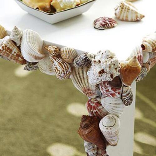 DIY: Seashells Inspiration!!  😀