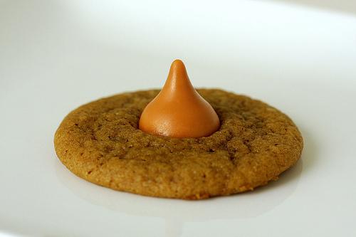 Delicious Pumpkin Spice Ginger Cookies!