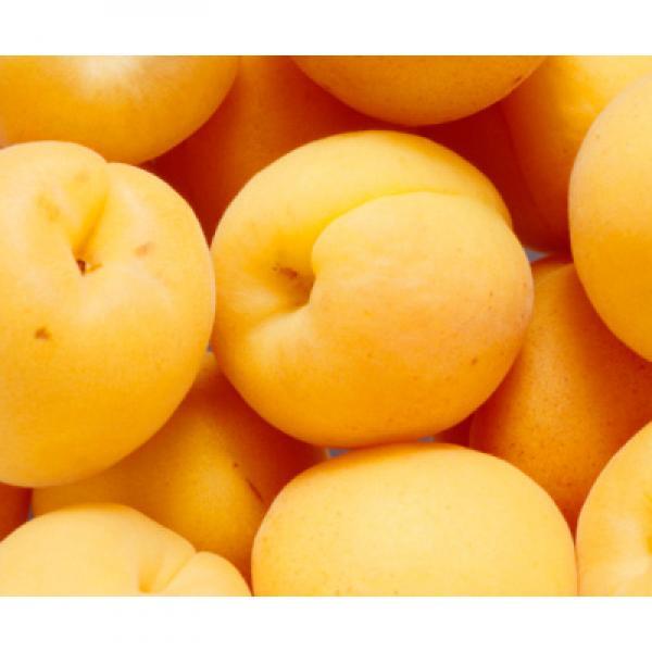 Apricots