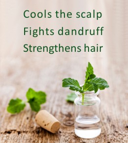 Peppermint Oil Uses: 