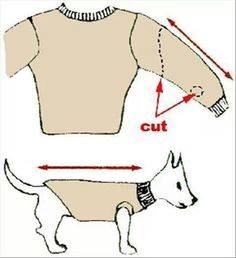 Fun Cool Ideas You Can Do Step By Step!!!!
