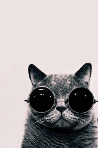 Adorable Phone Wallpapers!
