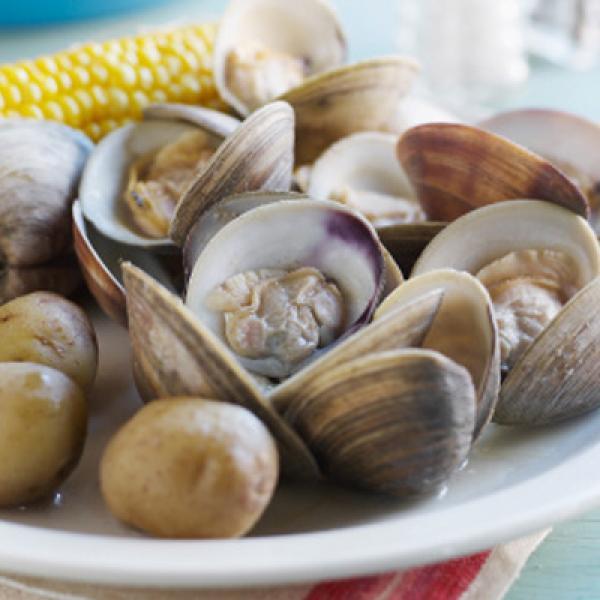 Clams