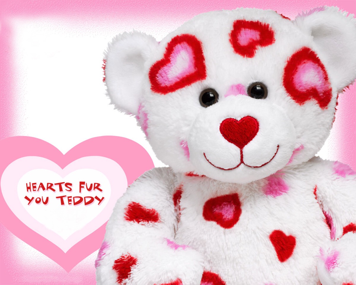 Fluffy teddy bears
