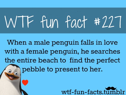 Fun Fact About Women 😱👍💯