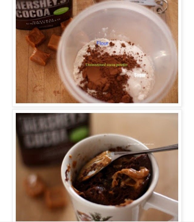 Chocolate And Salted Caramel Mug Cake🙊