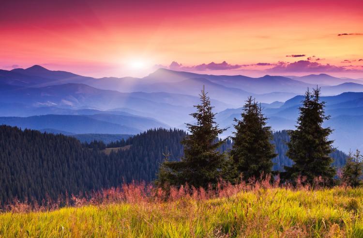 Take photos at sunrise or sunset for beautiful shots like this. It can be a pain getting up so early but it will be so worth it!