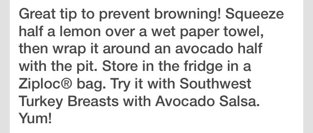Avocado Keeper