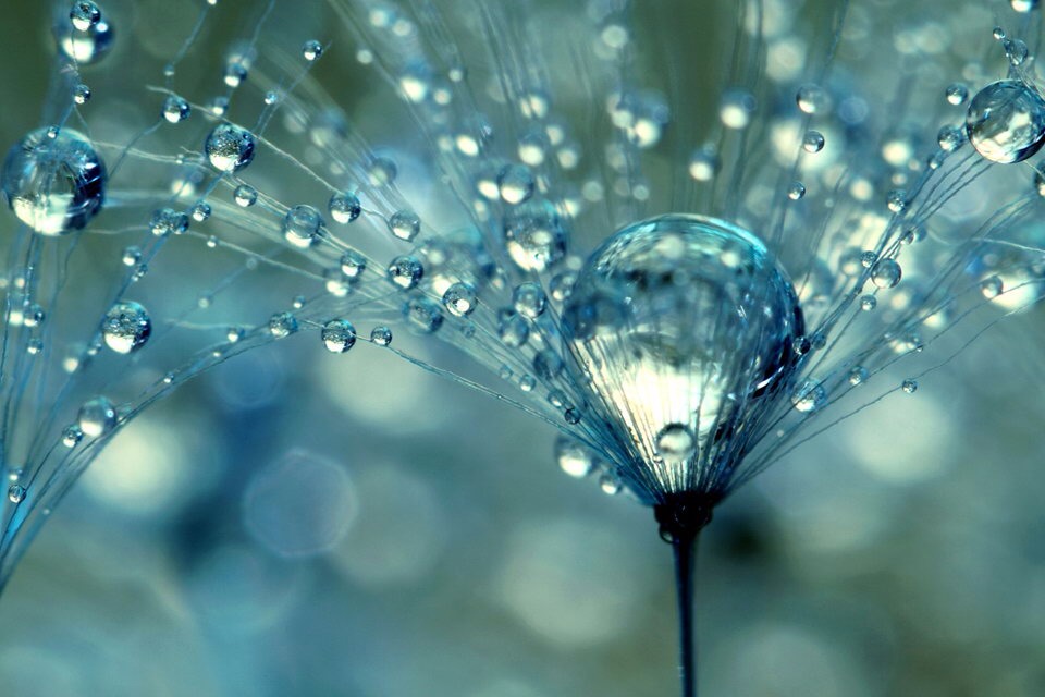Beautiful Photography