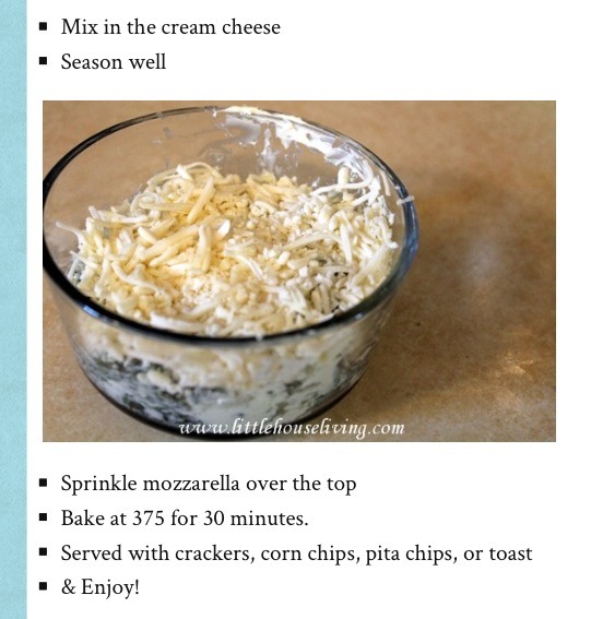 Cream Cheese Spinach Dip Recipe!!!