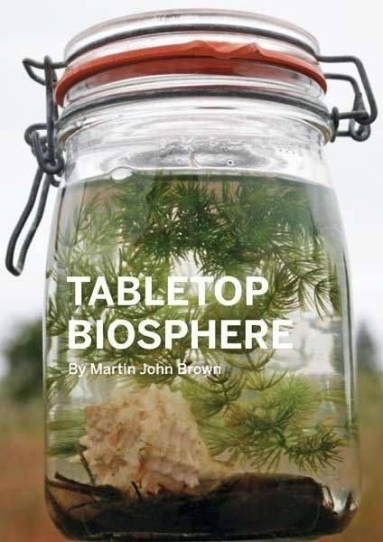 Tabletop Biospheres

https://www.pinterest.com/pin/110408628342820229/