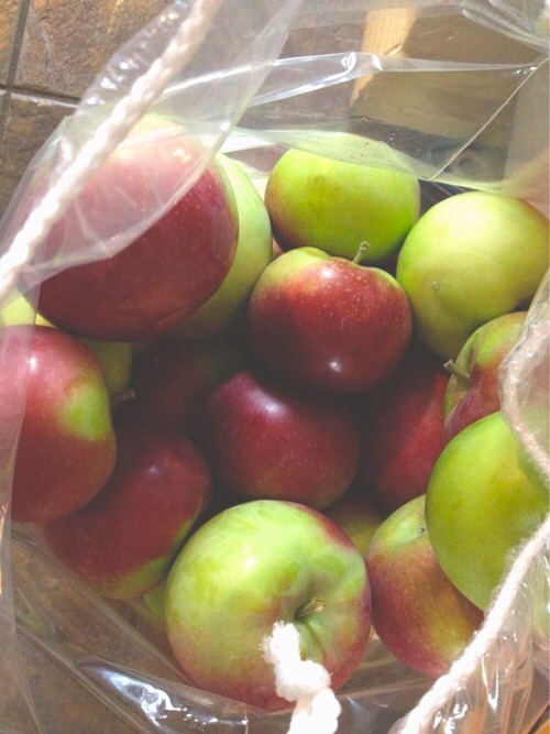 Go apple picking! Find a nearby orchard, bundle up and pick apples! It's a great way to bond and a great way to turn date day into date night: find a recipe and make cider and sip together when you get home!