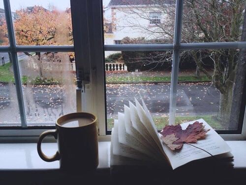 If you decide to have some tea/coffee and/or read a book on a rainy day, sit by the window in order to take in the view of your neighborhood on a rainy day. Rain creates a more picturesque vibe. 
