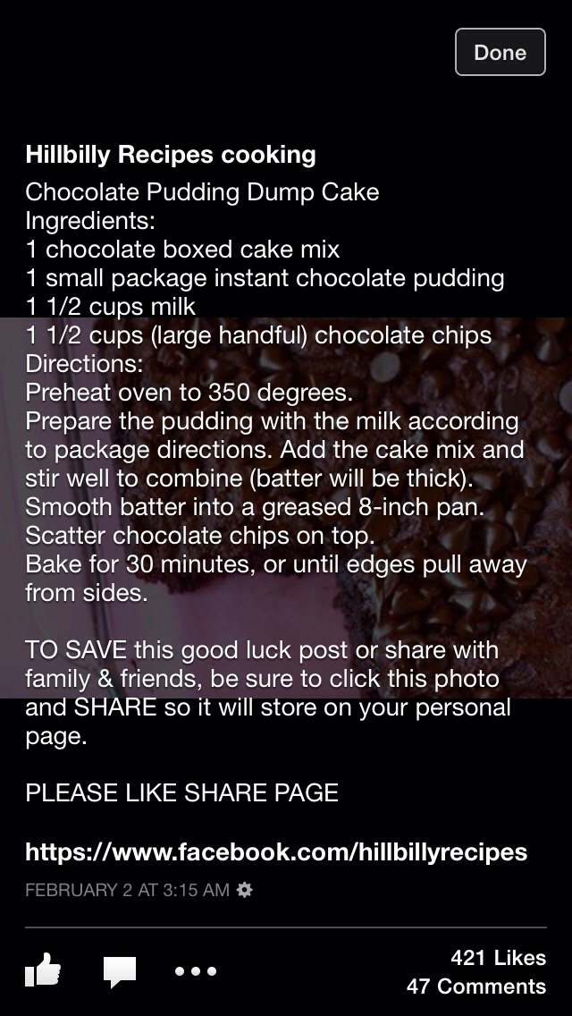 Chocolate Pudding Dump Cake