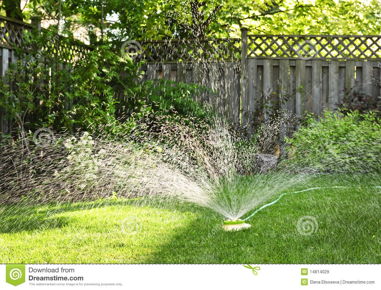 Water your plants between 8:00pm-5:00am. This way the sun won't evaporate the water, your plants are receiving more water, and your helping the environment