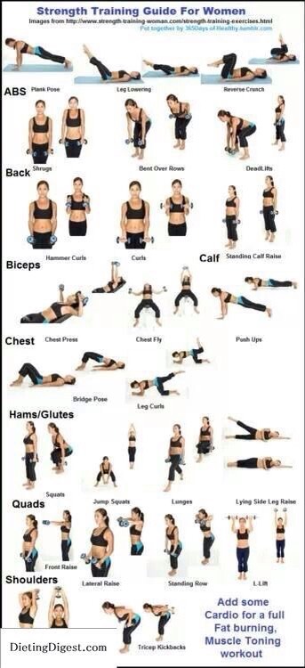 Workout And Stay Fit