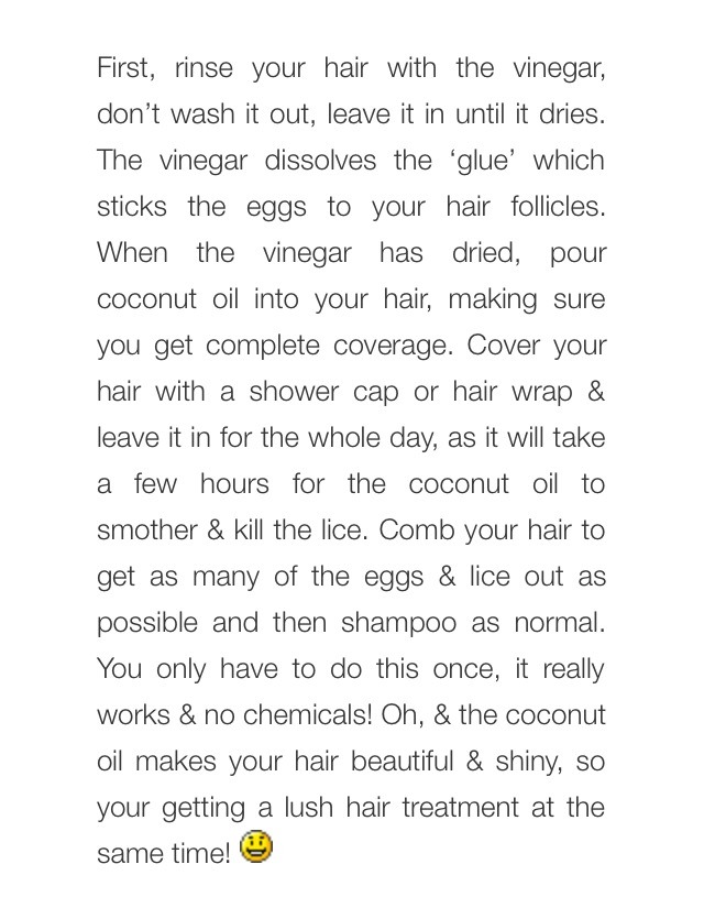 💥 Natural Head Lice Treatment 💥👍