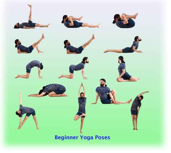 Beginners Yoga/Stretch Poses
