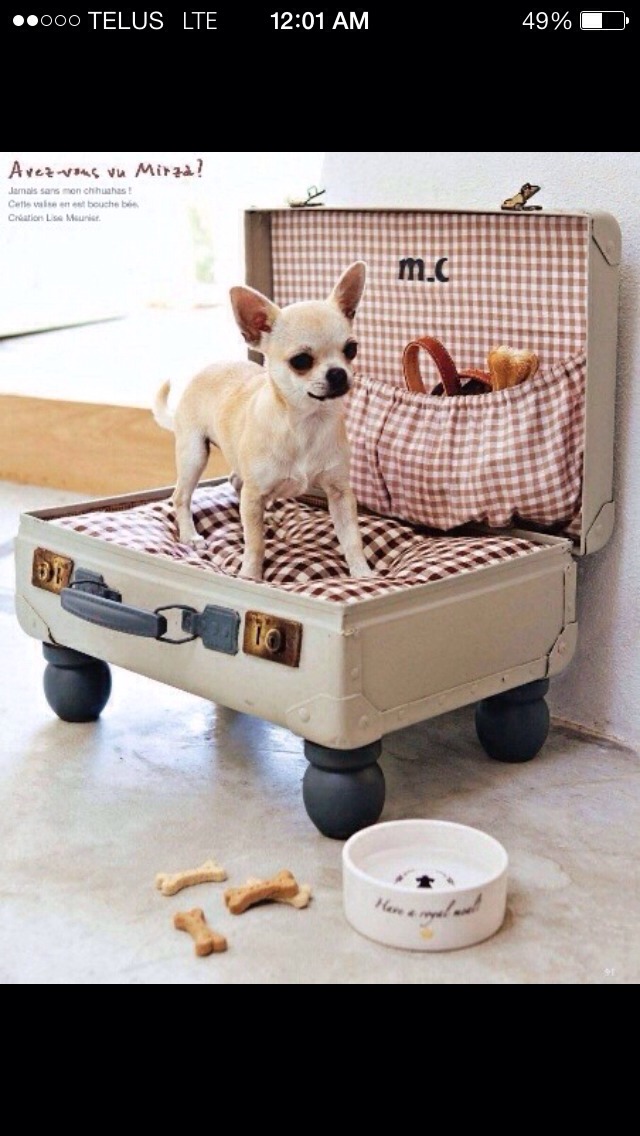 Turn an old suit case into a cute doggie bed! 