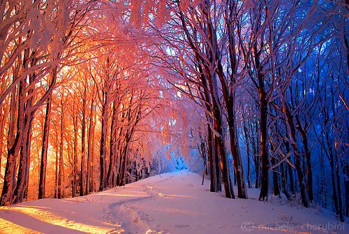 ❄️Adorable Christmas Wallpapers❄️