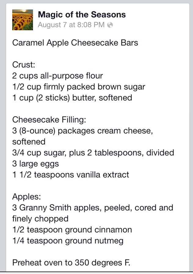 Carmel Apple Cheesecake Bar