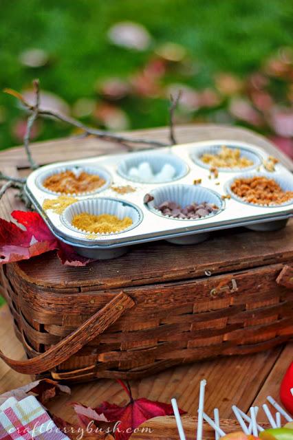 (A muffin tin to holds the toppings - brown sugar and cinnamon, mini marshmallows, chopped peanuts, graham cracker crumbs, chocolate chips, and Skor toffee bits)