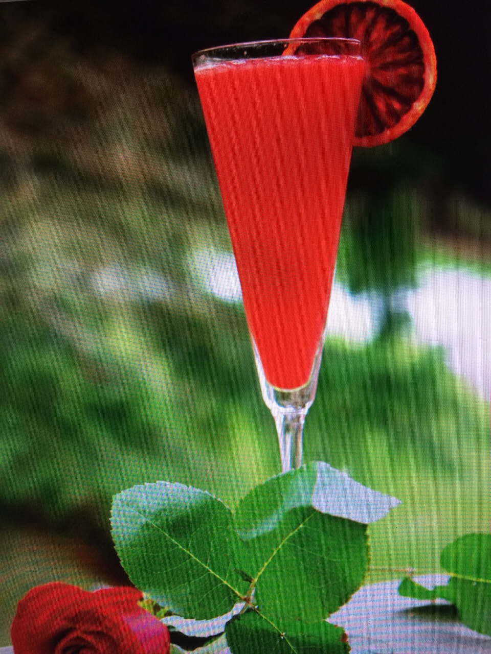 πΉπΉ Bubbly Blood Orange Campari Cocktail ππΈπΉ