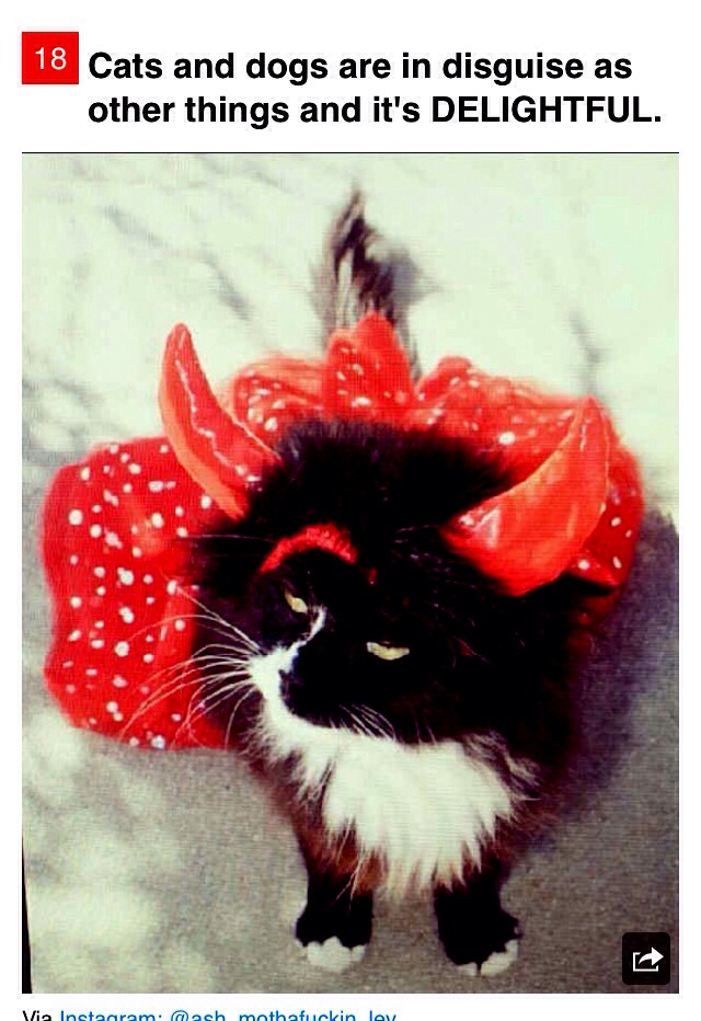 24 Reasons To Love 🎃ctober
