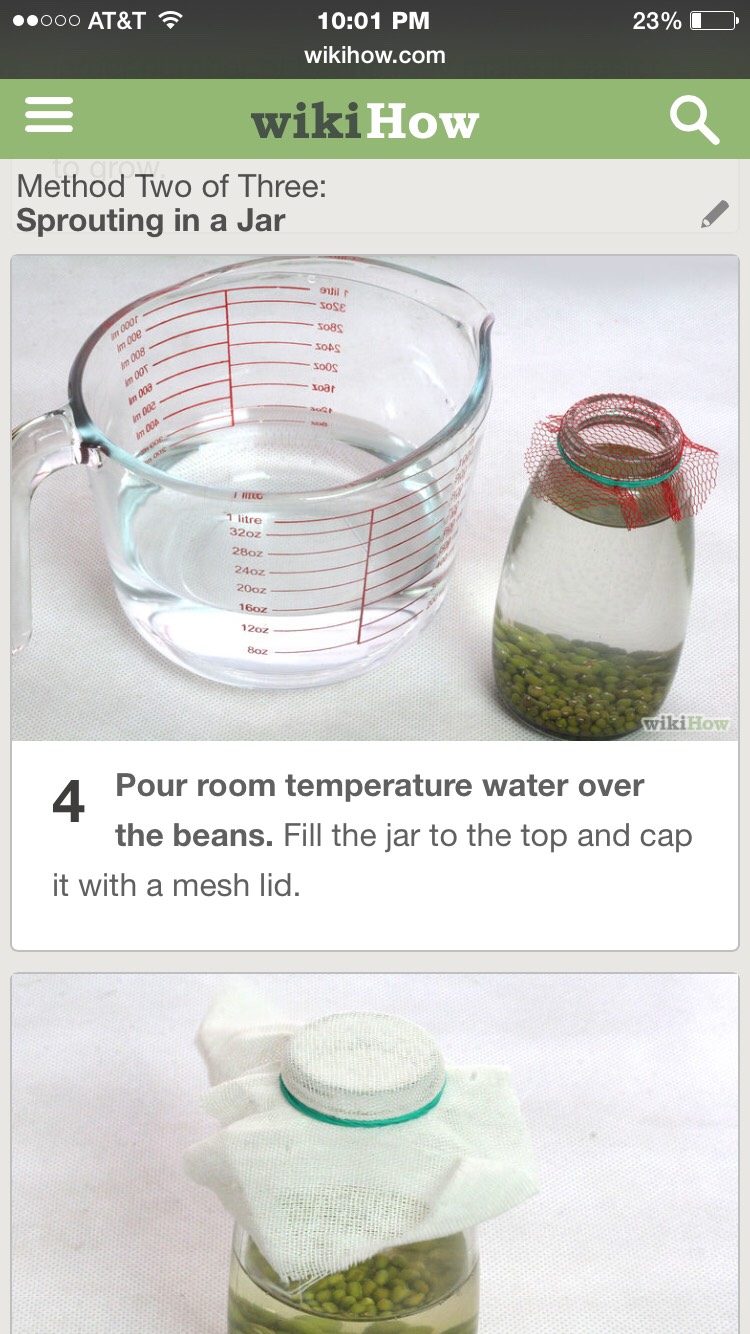 Grow Your Own Mung Sprouts- Super Easy, Super Fast, And Super Healthy! 