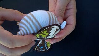 DIY Cute Sock Owl!!!!