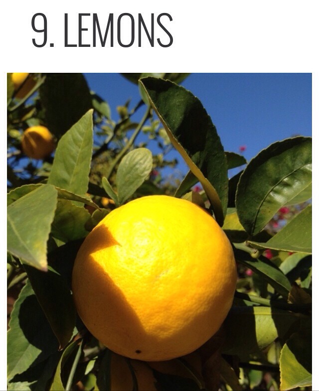 π₯β¨ 9 Natural Fat Burning Foods!! β¨π₯