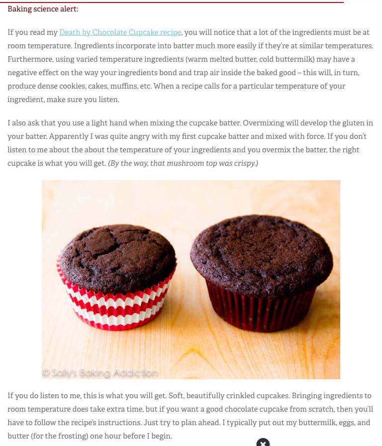 Peppermint Mocha Cupcake 