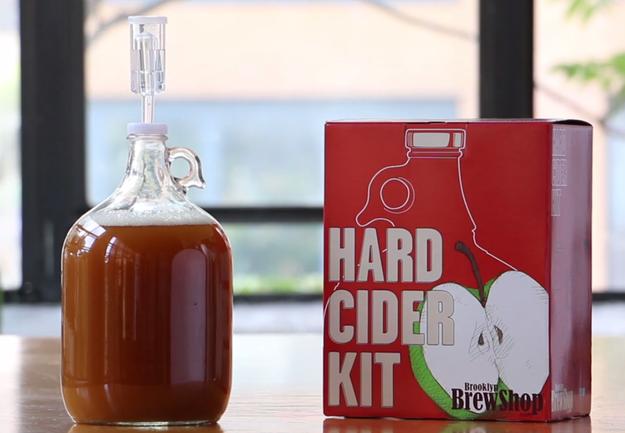 19. A kit to turn all the apples you pick into hard cider.
http://brooklynbrewshop.com/hard-cider/hard-cider-kit