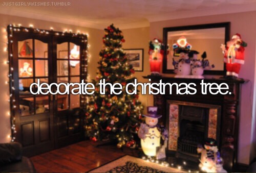 WINTER BUCKET LIST|2015-16