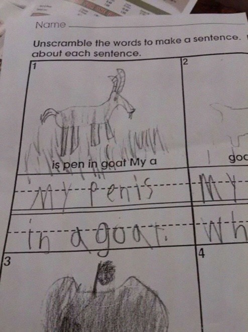 Funny Test Answers