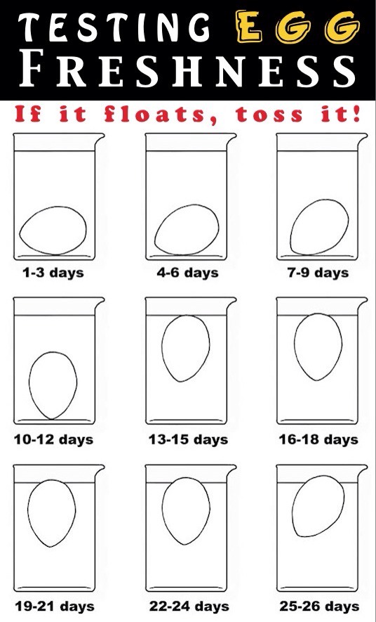 Kitchen Hacks You Need To Try!