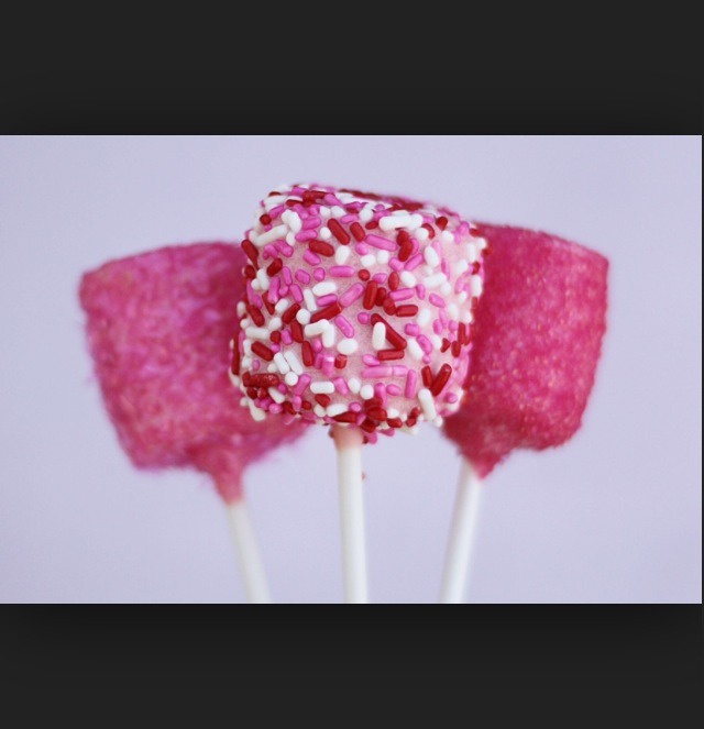 Chocolate covered marshmallows  