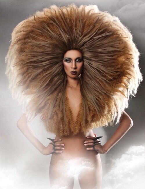 crazy Hair Styles Omg 