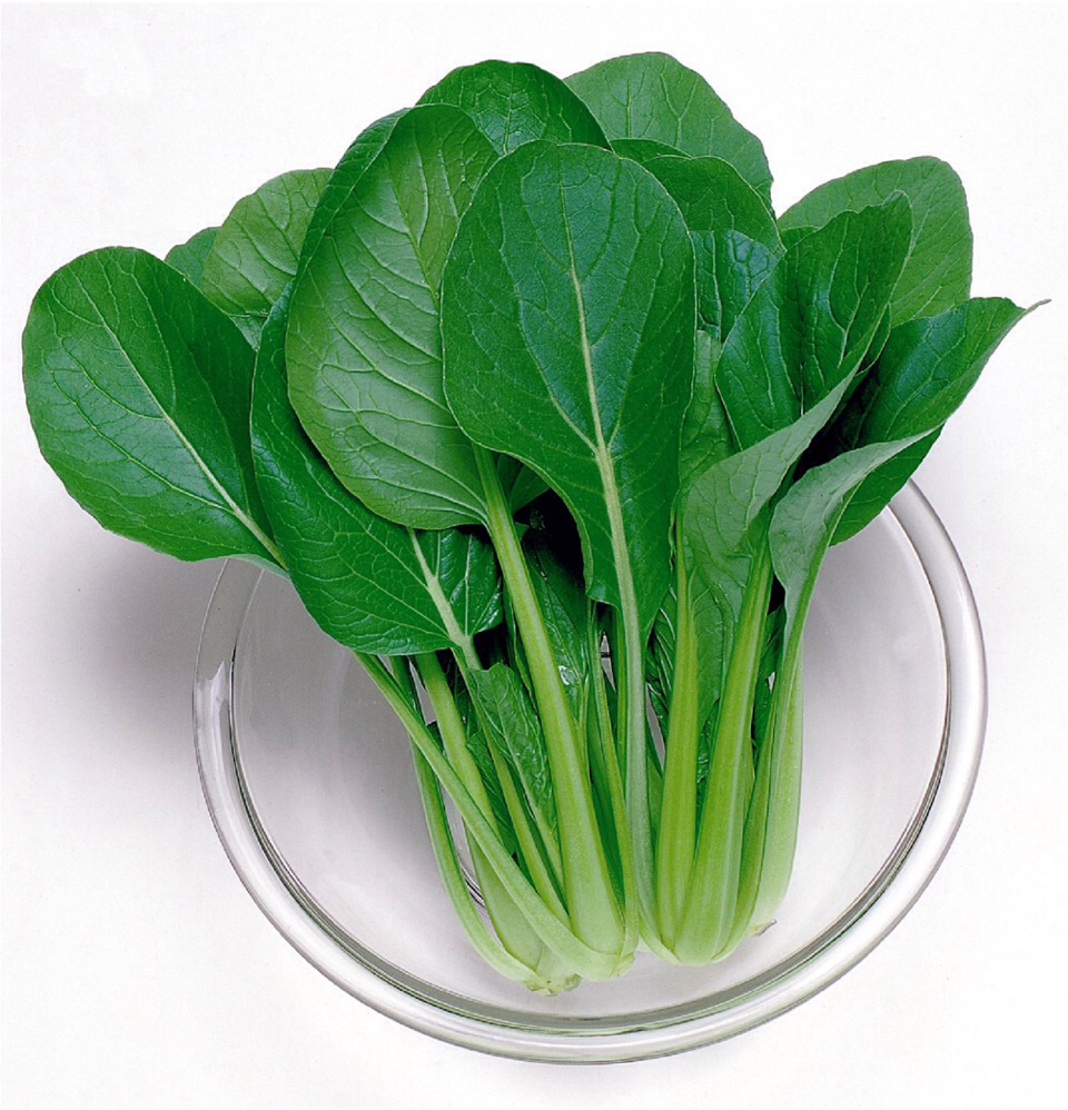 Top 10 Cellulite-Busting Foods!