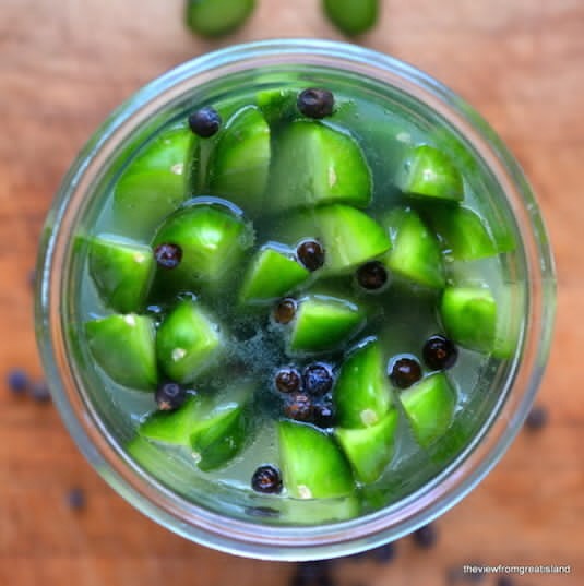 Gin and Tonic Pickles
Yep. These awesome pickles have gin, tonic, and a healthy smattering of juniper berries. Who says the lunch cocktail is dead?

Get the recipe from The View From Great Island.