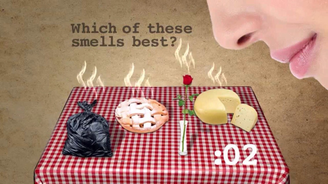 Idiot Test