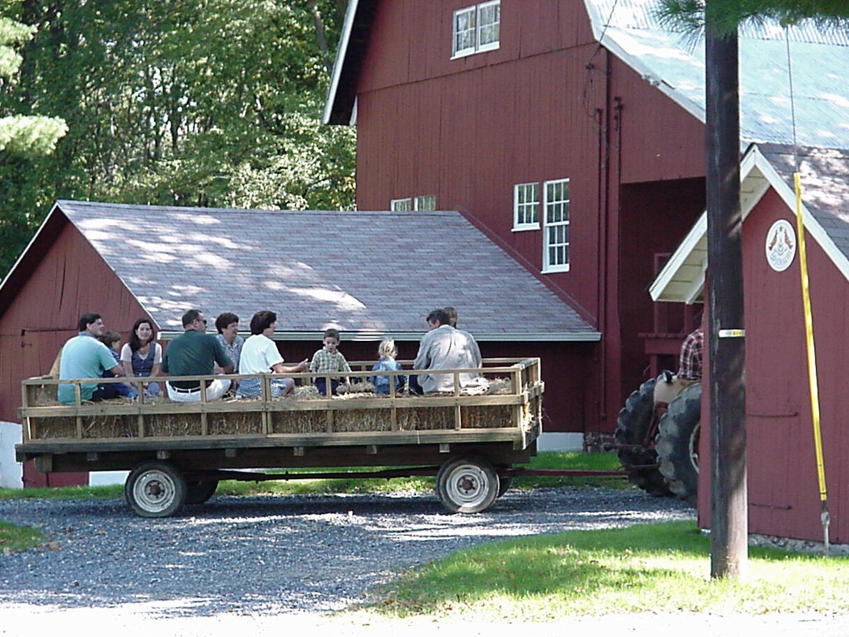 Hay rides 