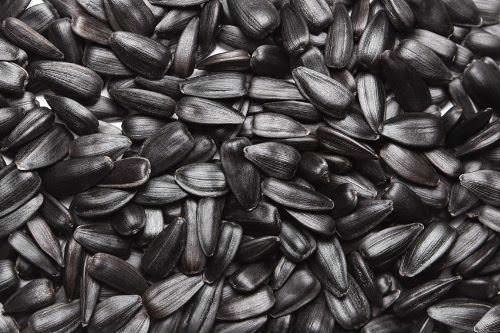 10 Wonderful Foods That Will Give You Great Skin