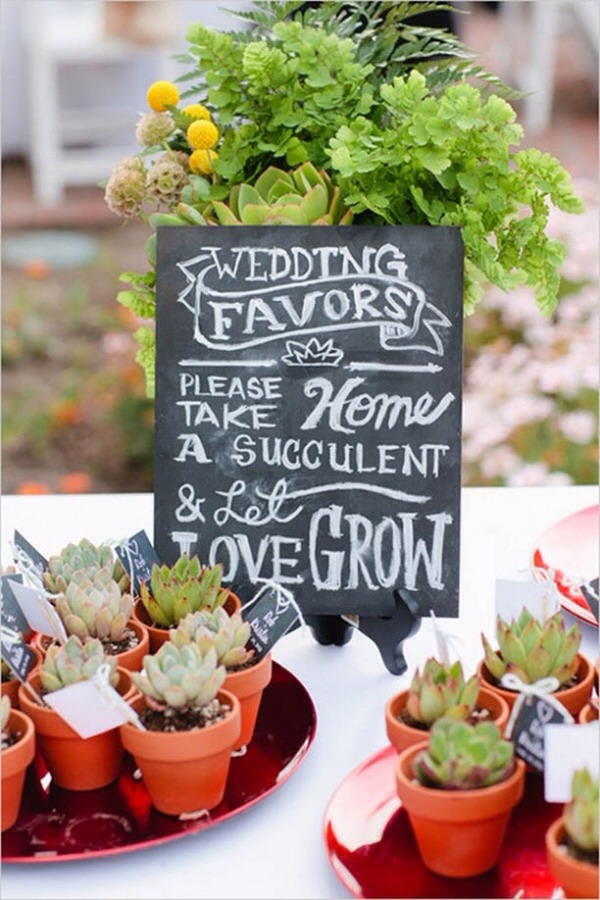 small potted plants or vases of flowers as your centerpieces and reception décor, they make a great favor to send home with guests. You can let them have a small reminder of the day and you won’t be stuck with hundreds of pots of succulents or vases of single stem flowers.