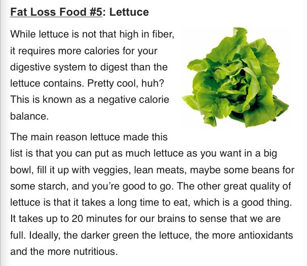Top Ten Fat Loss Foods