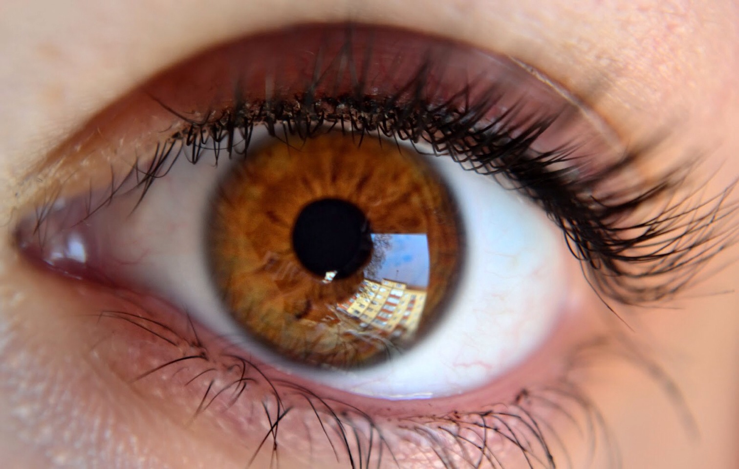 6) Women blink twice as many times as men do. That’s a lot of blinking every day. The average person, man or woman, blinks about 13 times a minute.