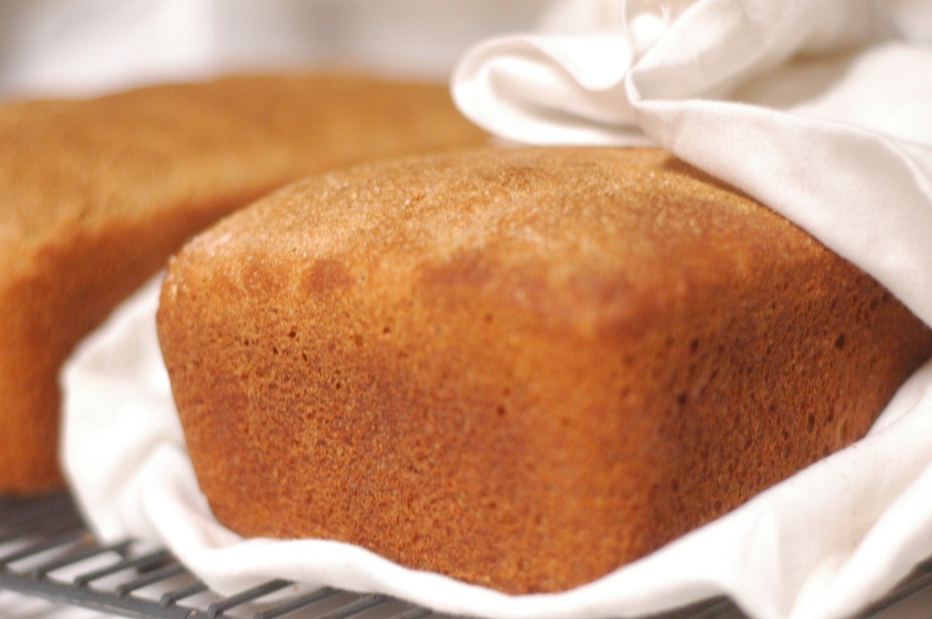 Whole wheat bread