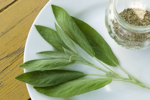 4. Sage
Sage is incredibly calming and it can instantly reduce inflammation and stress. It is a great antibacterial herb that fights bacteria that leads to acne and illness. You can consume it dried or fresh, but if you opt for a dried sage, make sure you use a little and choose rubbed sage.