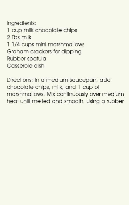 Delicious Smores Dip