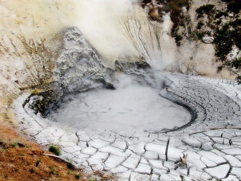 Bentonite is an absorbent aluminum phyllosilicate clay that consists mostly of montmorillonite and has a grey/cream color. It was given its name by Wilbur C. Knight in 1898 near Rock Rice, Wyoming where many volcanoes are present.